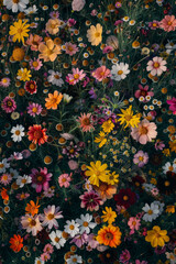 An overhead view of a field of wildflowers, with petals of varying textures and colors creating a vibrant landscape. 