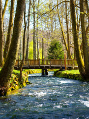 Vrelo Bosne (Bosna spring) near Sarajevo, Bosnia and Herzegovina