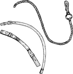 Graphic vector illustration of cord or rope with a carabiner, leather belts. Equipment for horse riding. Isolated. For cards, prints, decor