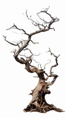 dead twisty tree, mystical magic, with roots, very simple, full roots, isolated on plain white background