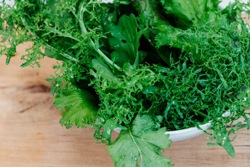 Green fresh mix lettuce salad leaves in white bowl.