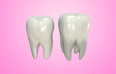 3D rendering of Human molar and pre molar teeth on pink background
