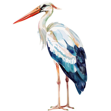 recommend clip art: Watercolor drawing of a stork, isolated on a white background, Illustration painting, stork vector, drawing, design art, clipart image, Graphic logo