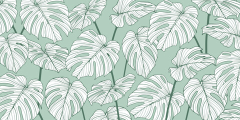 Abstract foliage and botanical background. Green tropical forest wallpaper made from hand drawn monstera leaves. Exotic plants background for banners, prints, decor, wall art.