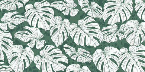 Abstract foliage and botanical background. Green tropical forest wallpaper made from hand drawn monstera leaves. Exotic plants background for banners, prints, decor, wall art.