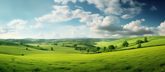 Obraz premium Scenic image of lush green landscape Accommodates text. Creative banner. Copyspace image