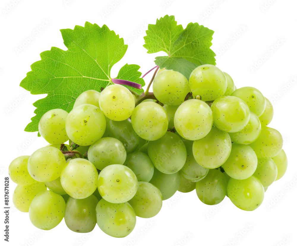 Wall mural grapes isolated on white or transparent png - Wall murals