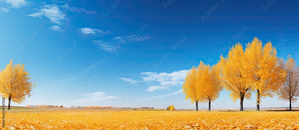 Poster autumn landscape featuring trees with yellowed leaves set against a beautiful blue sky creating a st