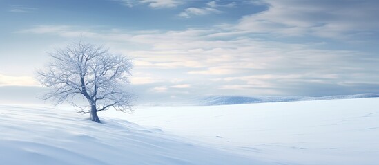 A snowy landscape provides an ideal backdrop for a copy space image