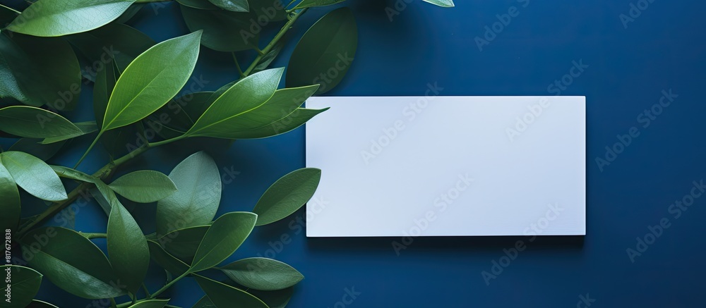 Poster a top down view of a blank card on a blue backdrop highlighted by the shadow of leaves this copy spa