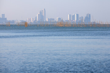 Obraz premium The sea with poles planted for shellfish farming behind is a large city
