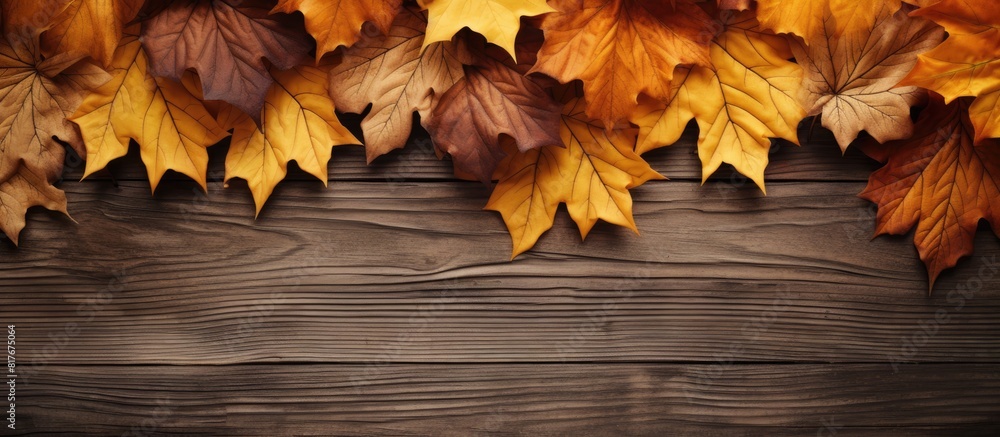 Poster Wooden boards serve as the backdrop for a charming arrangement of maple leaves creating a captivating copy space image
