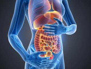 Conceptual image about gut health, person with visible intestines, promoting awareness on digestive disorders and healthy eating