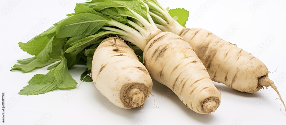 Poster A copy space image of Taro root on a white background is isolated and available