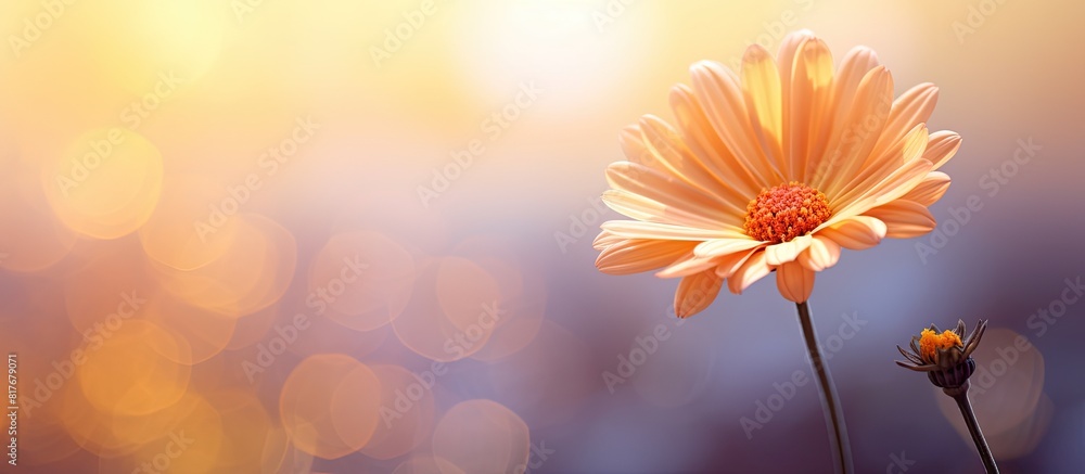 Poster vibrant flower with a bokeh background offering a captivating and visually appealing composition wit