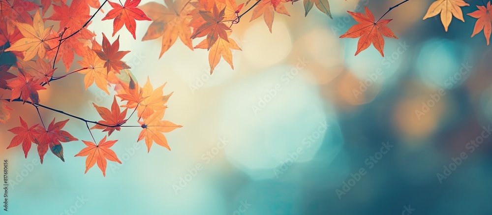 Poster The copy space image showcases a vibrant autumn background adorned with blurry multicolored maple leaves