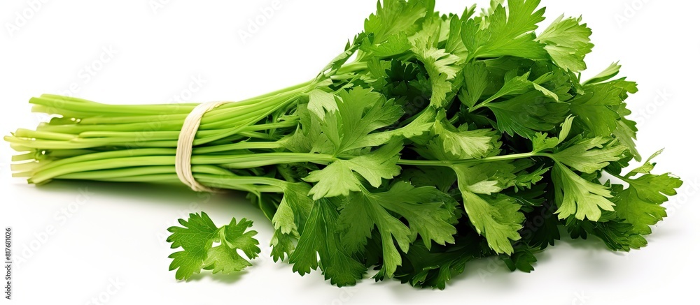 Poster An isolated bunch of parsley on a white background providing ample copy space for design or text elements