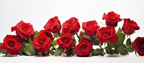 Fototapeta premium Hazelnuts of various kinds showcased against a rustic dark wooden backdrop providing ample copy space for creative purposes