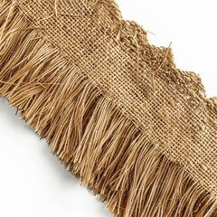 soft raffia FRINGE trim isolated on plain background