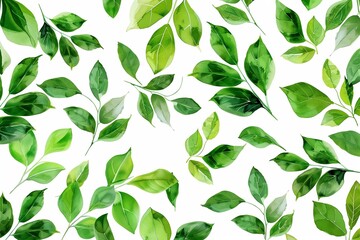 Elegant pattern of leaves in shades of green emerging on a solid white background.