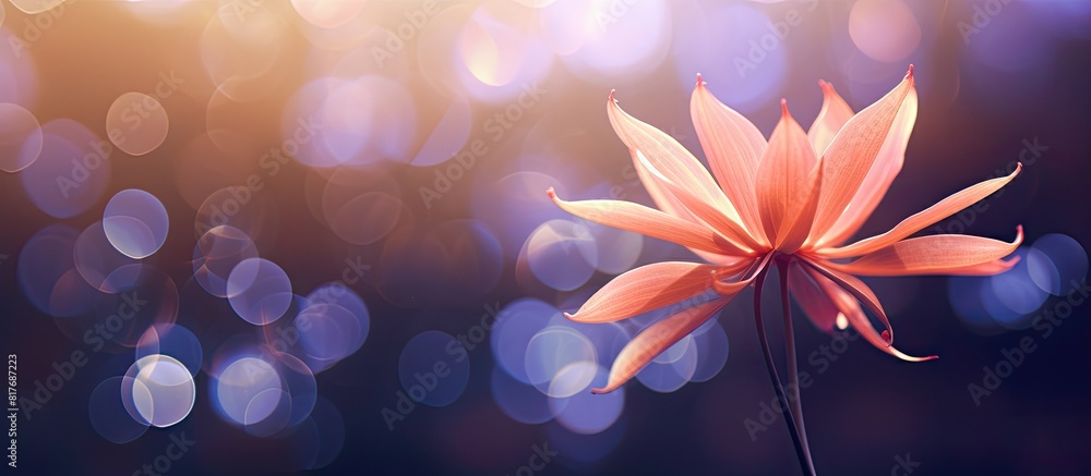 Poster a stunning flower captured with a mesmerizing bokeh background in a copy space image