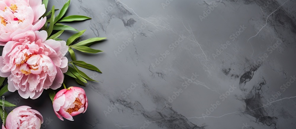 Leinwandbilder a top down view of pink and white peony flowers with a tag placed on a gray stone background offerin