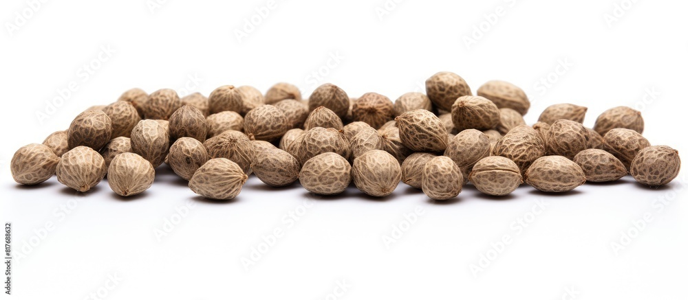 Poster a copy space image of shelled hemp seeds in an organic state set against a clean white background