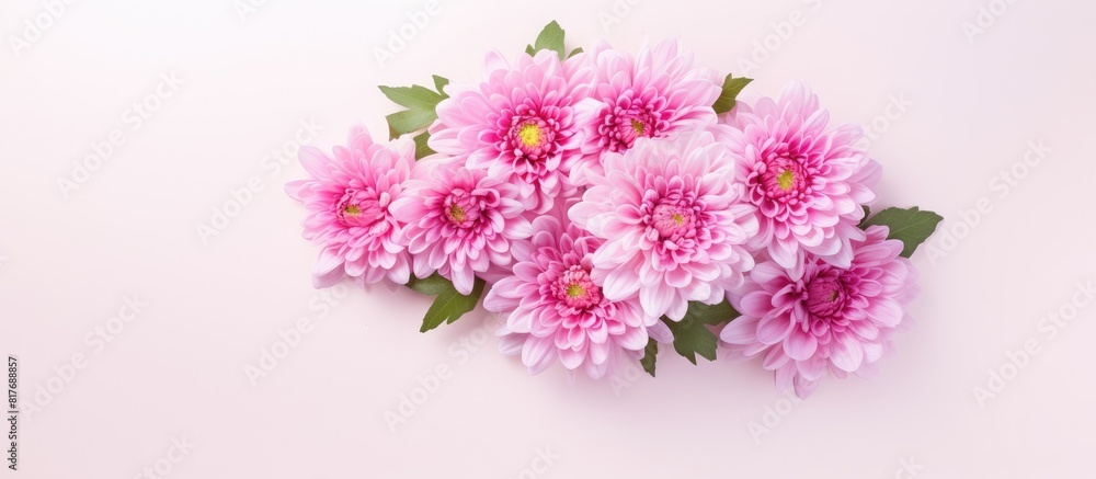 Aufkleber a top down view of a pink chrysanthemum bouquet placed on a white surface leaving room for text in t