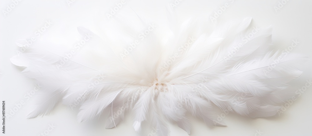 Poster a top down view of a white feather flower on a white background perfect for a flat lay photograph. c