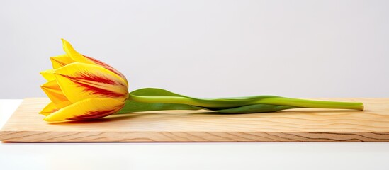 A cut flower from a tulip on a kitchen cutting board against a light background for a copy space image - Powered by Adobe