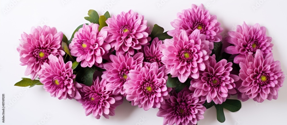 Aufkleber a top down view of a pink chrysanthemum bouquet placed on a white surface leaving room for text in t