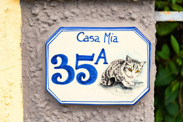 Number 35a, blue and white rectangular house with cat etched into the wooden door. The font of the number complements the art of the Felidae