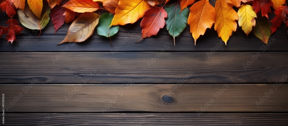 Aufkleber A copy space image of autumn leaves arranged in a frame on a wooden background