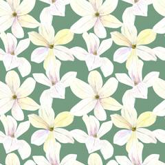 Seamless pattern of watercolor white Magnolia blooming flowers. Hand drawn illustration. Botanical hand painted floral elements. On green  background. For print decoration, fabric, wallpaper wrapping