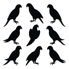 Set of parrot animal Silhouette Design and Vector Illustration on white background