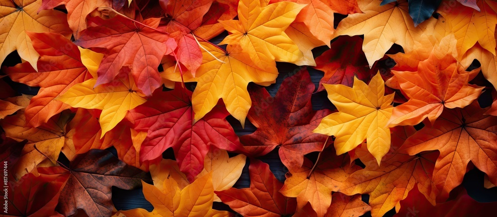 Poster autumn leaves create a beautiful background with plenty of copy space for images