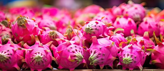 Fototapeta premium Dragon fruit a tropical fruit is showcased in a close up on a market stall providing a captivating background for any text or design. Creative banner. Copyspace image