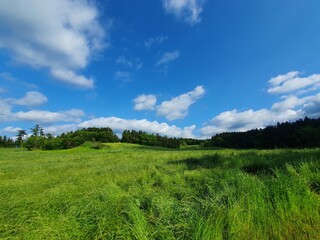 Obraz premium field and blue sky
