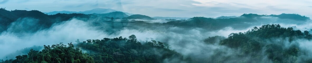 Naklejka premium A captivating photograph of a jungle forest shrouded in mist. The mist adds an aura of mystery and serenity to the lush greenery of the jungle.
