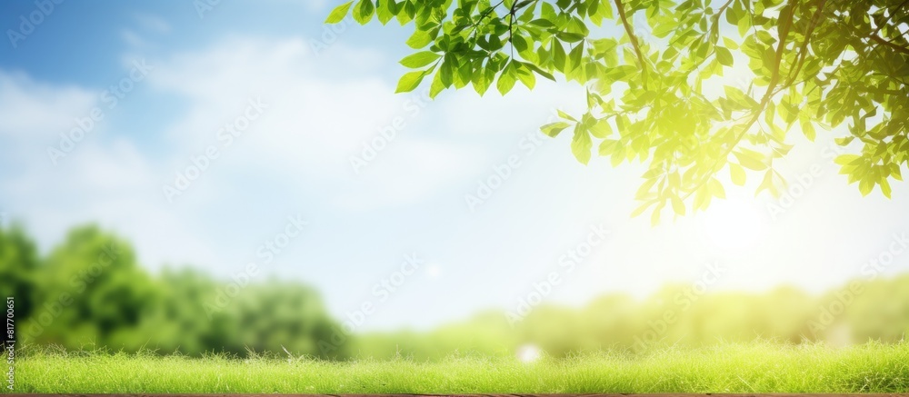 Aufkleber bright sunny day with a natural background of green wood providing ample copy space for text and a p