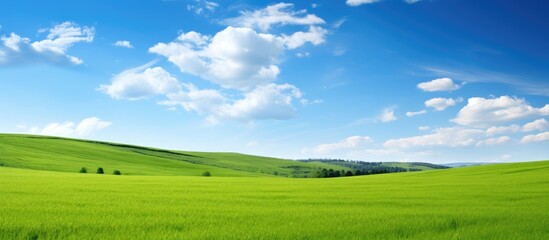 Obraz premium A picturesque scene with a lush green field extending beneath a clear blue sky providing ample copy space for images