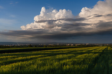 Gewitterwolke mit wolkenbruchartigem Regen über Wiesbaden und Mainz, Mai 2024