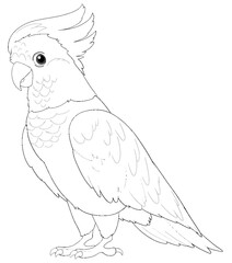 Black and white line drawing of a cockatoo