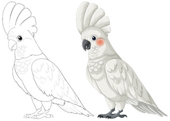 Illustration of a colored and line art cockatoo