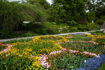 botanical garden in munich, tourism, green and colourful