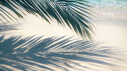 Obraz premium Close-up of a single palm frond casting intricate shadows on the white sand, turquoise water shimmering beyond