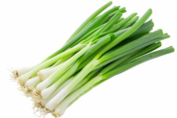 Fototapeta premium Fresh green onions organic and slightly spicy commonly used in Asian cuisine for soup garnish with white background and clipping path