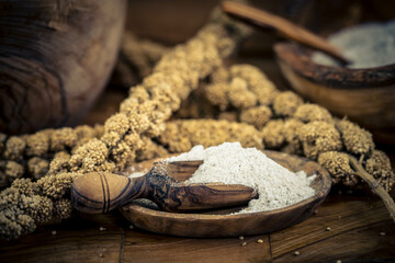 getrocknete Hirse als Vogelfutter oder gemahlen als Mehl