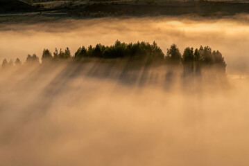 Foggy dawn in Izborsko-Malskaya valley, Pskov region