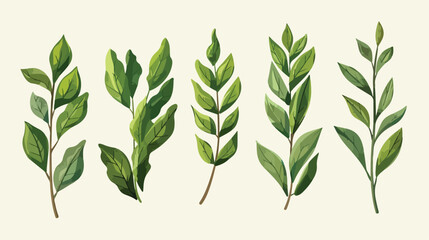 set of laurel leafs Vector style vector design illustration